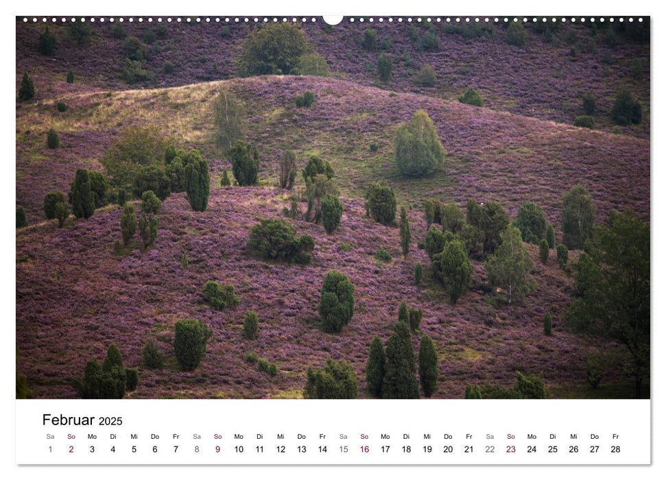 Lüneburger Heide (CALVENDO Premium Wandkalender 2025)