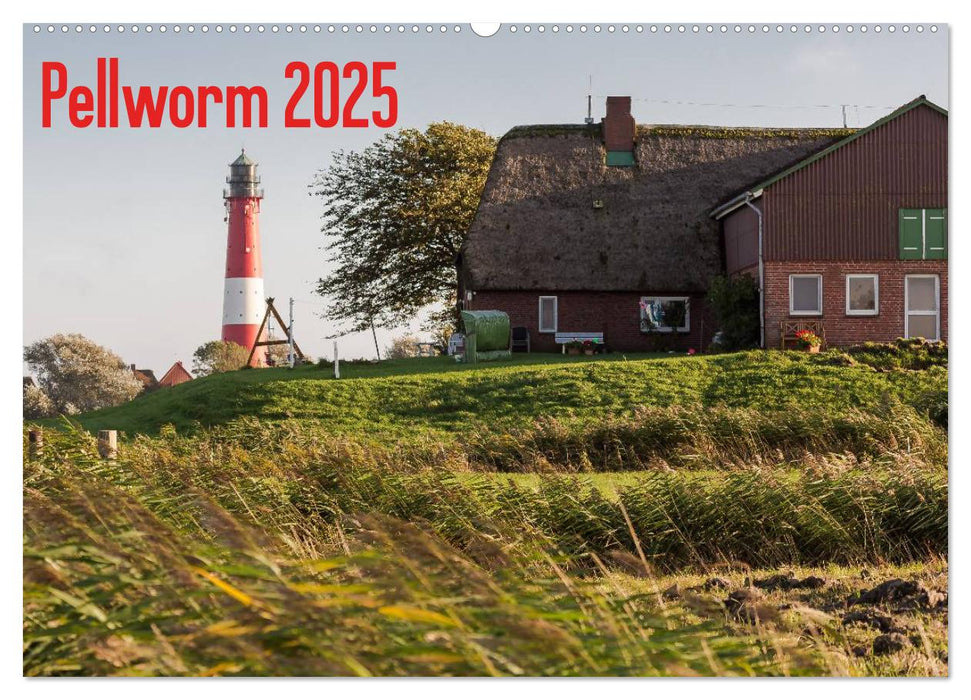 Pellworm 2025 (CALVENDO Wandkalender 2025)