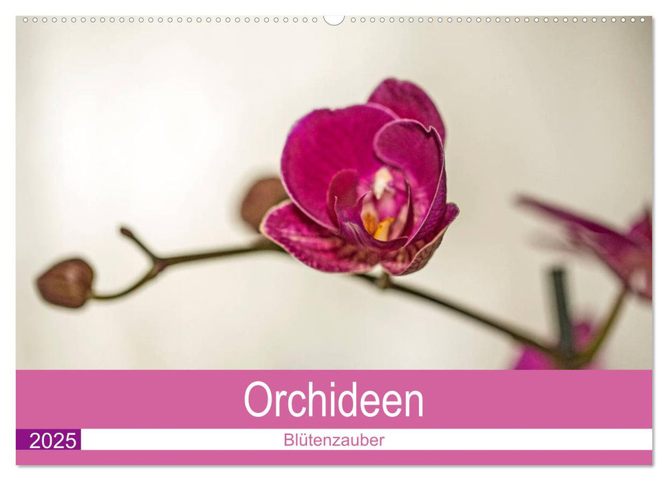 Blütenzauber Orchideen (CALVENDO Wandkalender 2025)