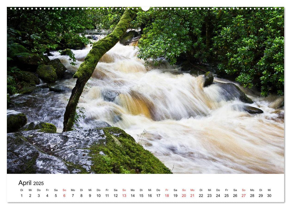 Kerry - Irlands romantischer Südwesten (CALVENDO Wandkalender 2025)