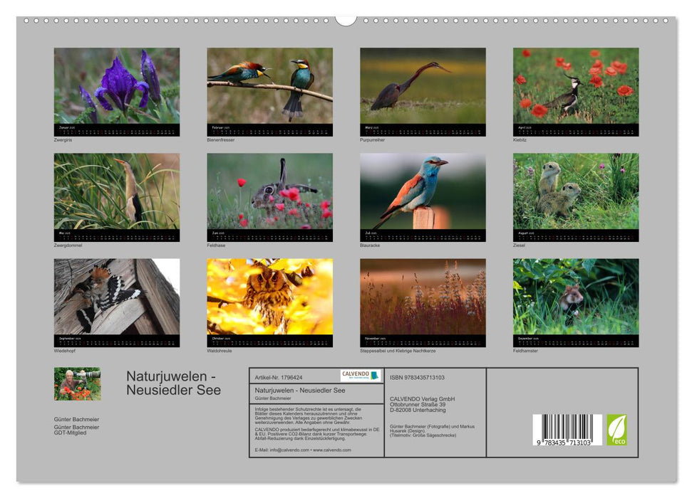 Naturjuwelen - Neusiedler See (CALVENDO Premium Wandkalender 2025)