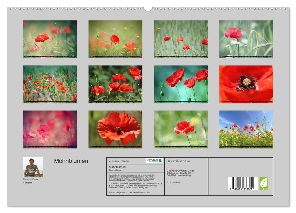 Mohnblumen (CALVENDO Premium Wandkalender 2025)