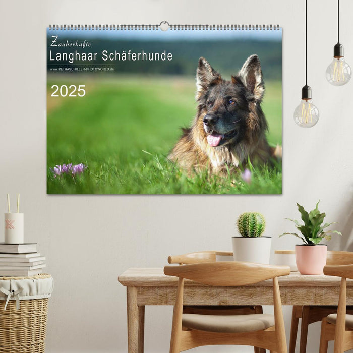 Zauberhafte Langhaar Schäferhunde (CALVENDO Wandkalender 2025)