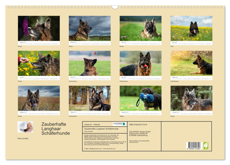 Zauberhafte Langhaar Schäferhunde (CALVENDO Wandkalender 2025)