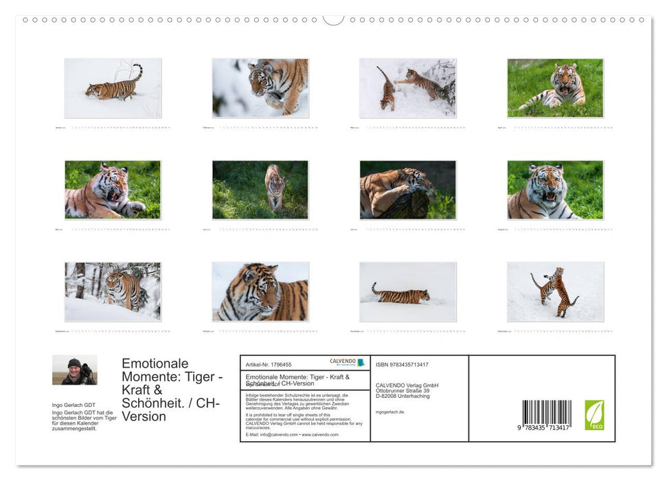 Emotionale Momente: Tiger - Kraft & Schönheit. / CH-Version (CALVENDO Premium Wandkalender 2025)