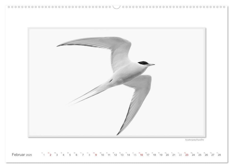 Emotionale Momente: Spitzbergen Svalbard / CH-Version (CALVENDO Premium Wandkalender 2025)