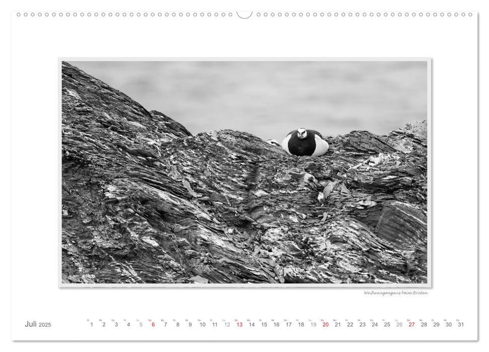 Emotionale Momente: Spitzbergen Svalbard / CH-Version (CALVENDO Premium Wandkalender 2025)