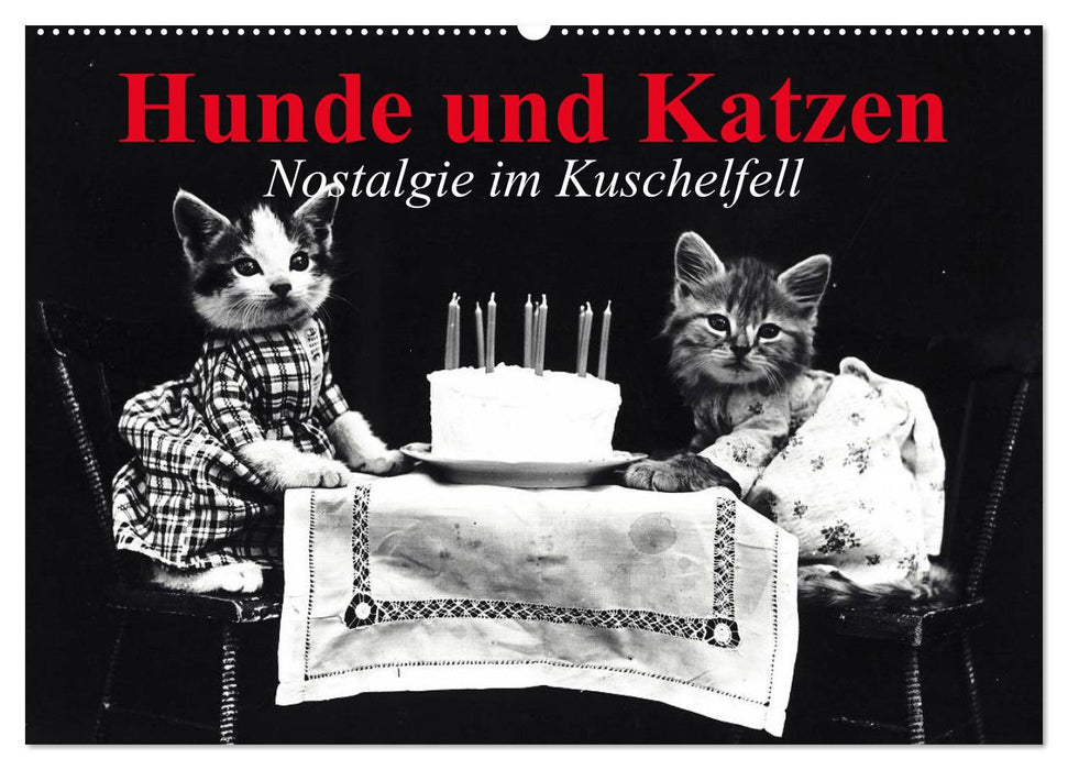 Hunde und Katzen - Nostalgie im Kuschelfell (CALVENDO Wandkalender 2025)