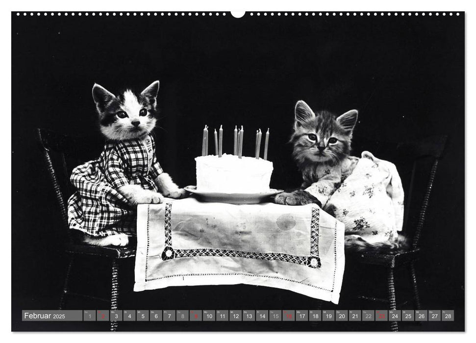Hunde und Katzen - Nostalgie im Kuschelfell (CALVENDO Wandkalender 2025)