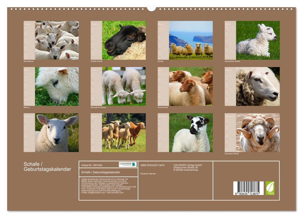 Schafe / Geburtstagskalender (CALVENDO Premium Wandkalender 2025)