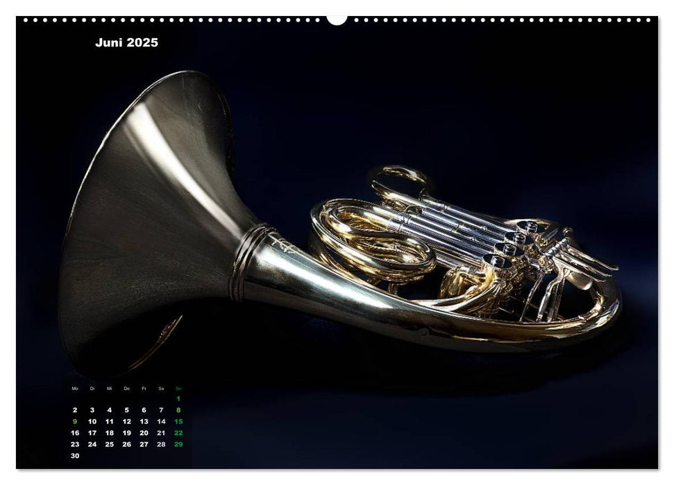 Das Horn, ein herrliches Instrument (CALVENDO Wandkalender 2025)