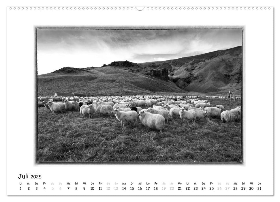 Island pur (CALVENDO Premium Wandkalender 2025)