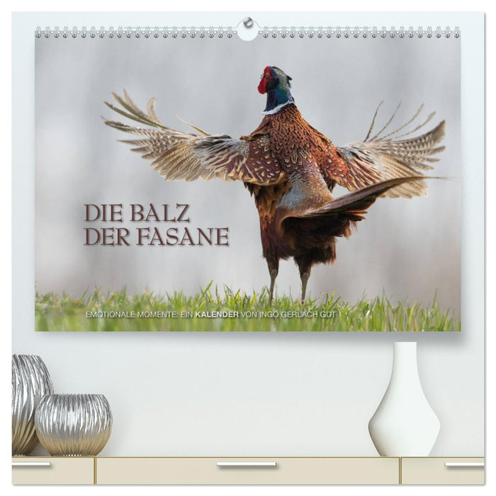 Emotionale Momente: Die Balz der Fasane / CH-Version (CALVENDO Premium Wandkalender 2025)