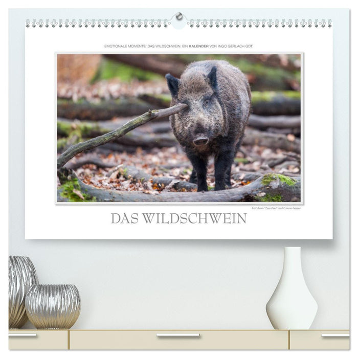 Emotionale Momente: Das Wildschwein. / CH-Version (CALVENDO Premium Wandkalender 2025)