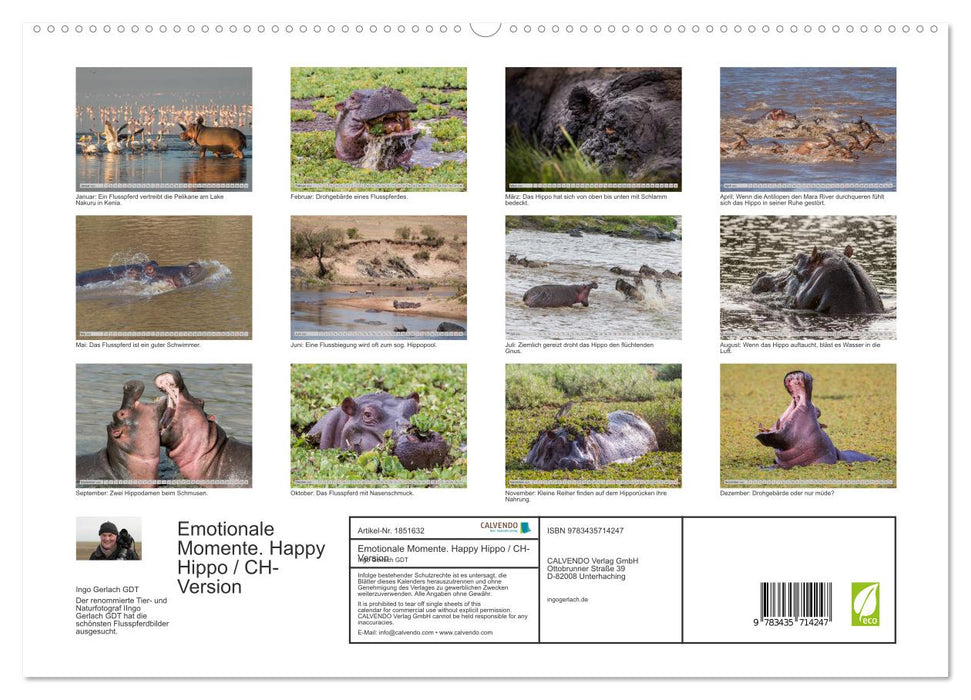 Emotionale Momente. Happy Hippo / CH-Version (CALVENDO Premium Wandkalender 2025)