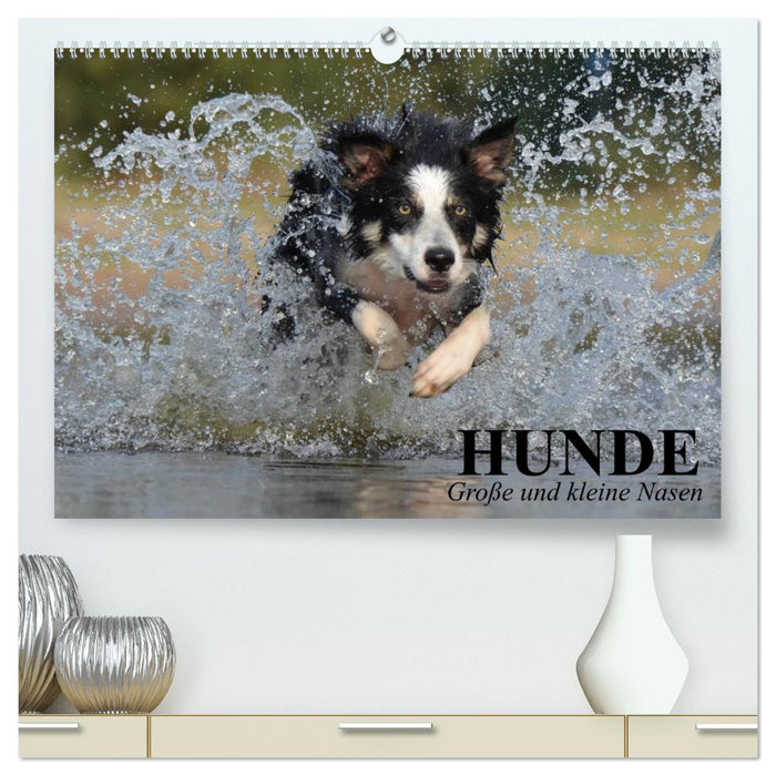 Hunde. Große und kleine Nasen (CALVENDO Premium Wandkalender 2025)