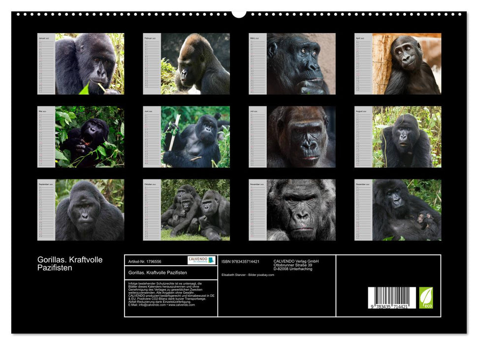 Gorillas. Kraftvolle Pazifisten (CALVENDO Premium Wandkalender 2025)