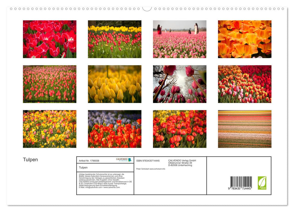 Tulpen (CALVENDO Premium Wandkalender 2025)