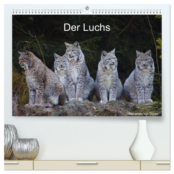 Der Luchs (CALVENDO Premium Wandkalender 2025)