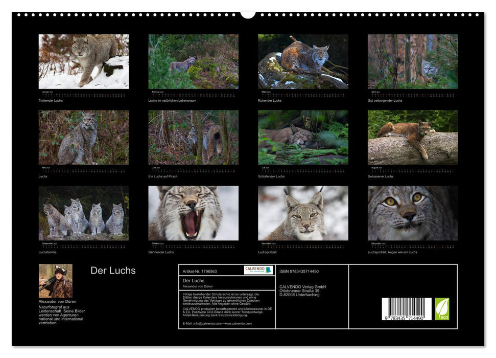 Der Luchs (CALVENDO Premium Wandkalender 2025)