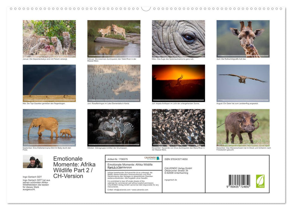 Emotionale Momente: Afrika Wildlife Part 2 / CH-Version (CALVENDO Premium Wandkalender 2025)