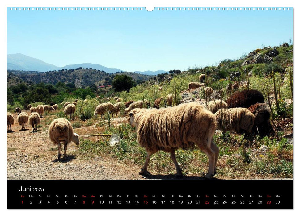 Insel Kreta (CALVENDO Wandkalender 2025)