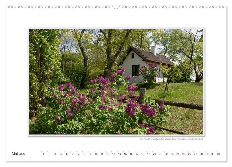 Neusiedler See / CH-Version (CALVENDO Premium Wandkalender 2025)