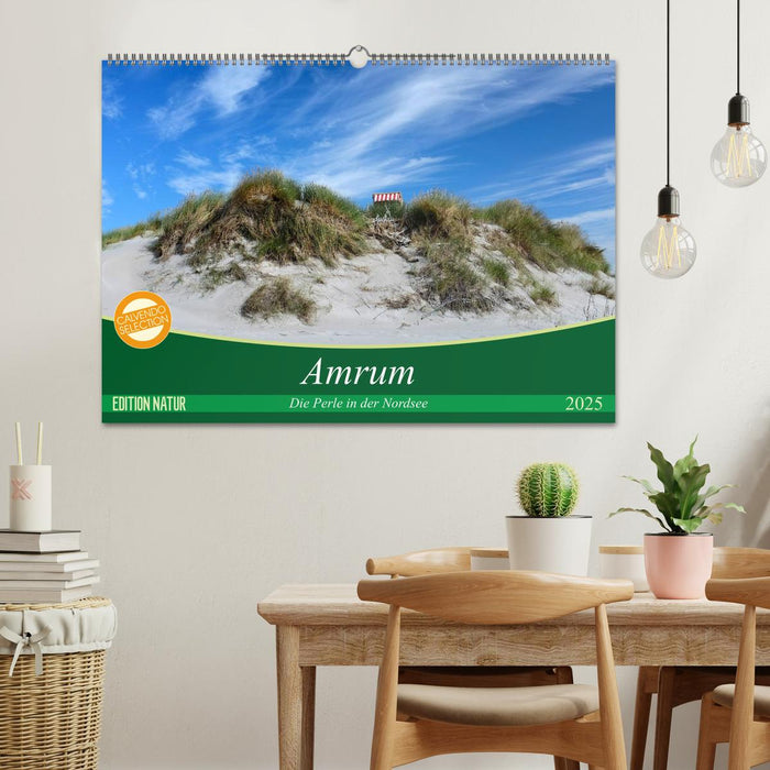 Amrum, die Perle in der Nordsee (CALVENDO Wandkalender 2025)