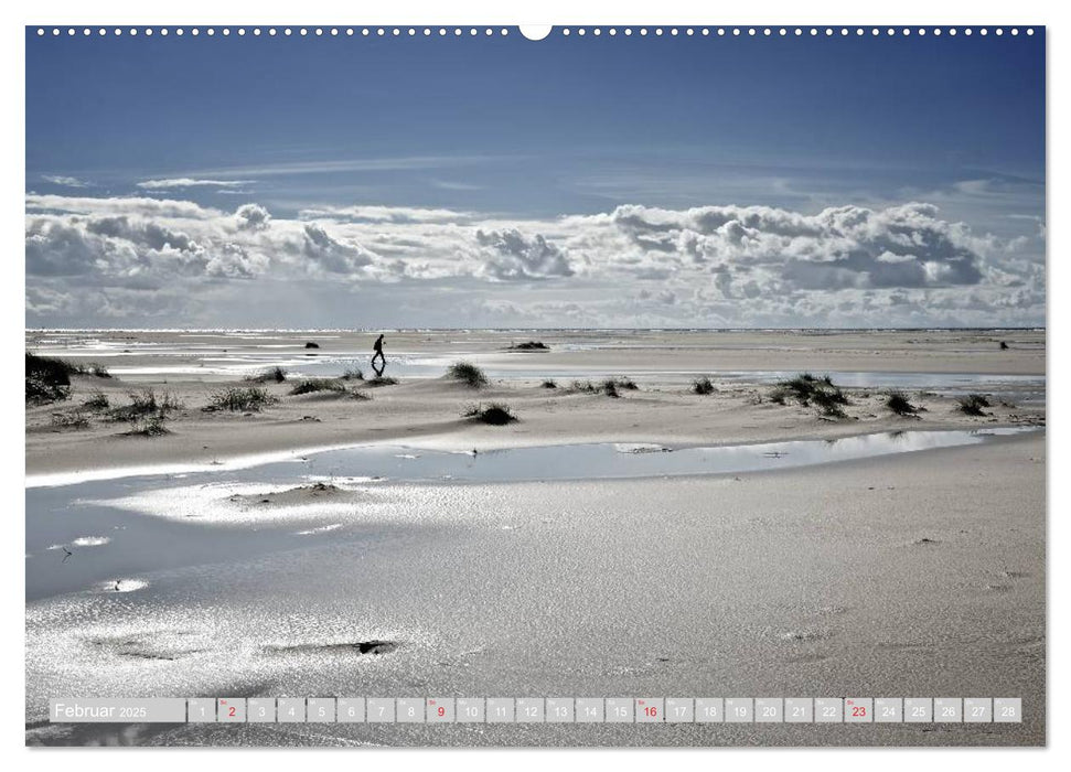 Amrum, die Perle in der Nordsee (CALVENDO Wandkalender 2025)