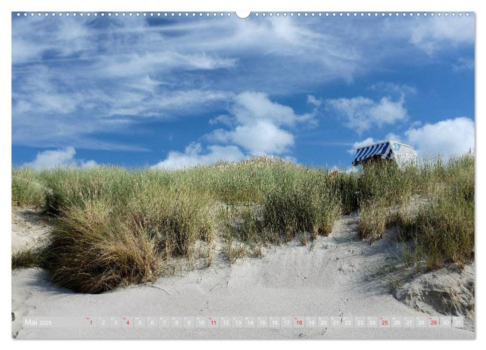 Amrum, die Perle in der Nordsee (CALVENDO Wandkalender 2025)