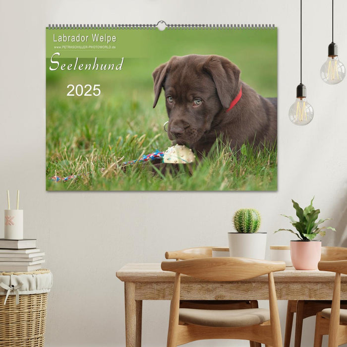 Labrador Welpe – Seelenhund (CALVENDO Wandkalender 2025)
