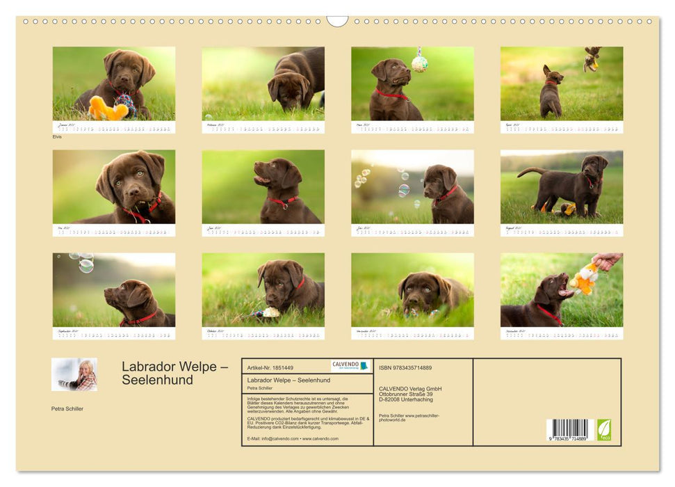 Labrador Welpe – Seelenhund (CALVENDO Wandkalender 2025)