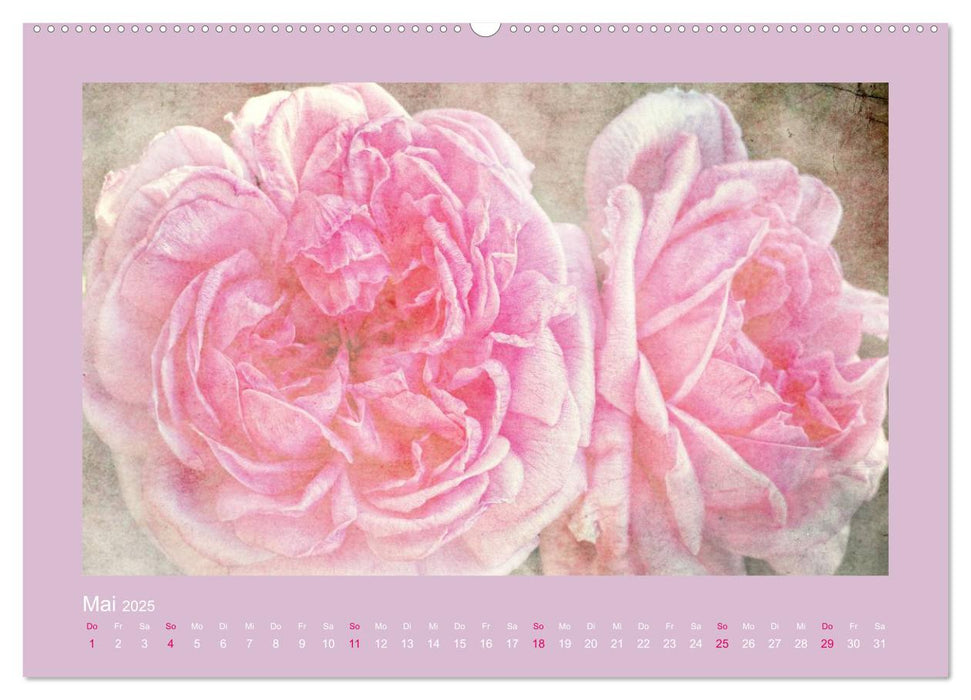 Romantische Rosen (CALVENDO Premium Wandkalender 2025)