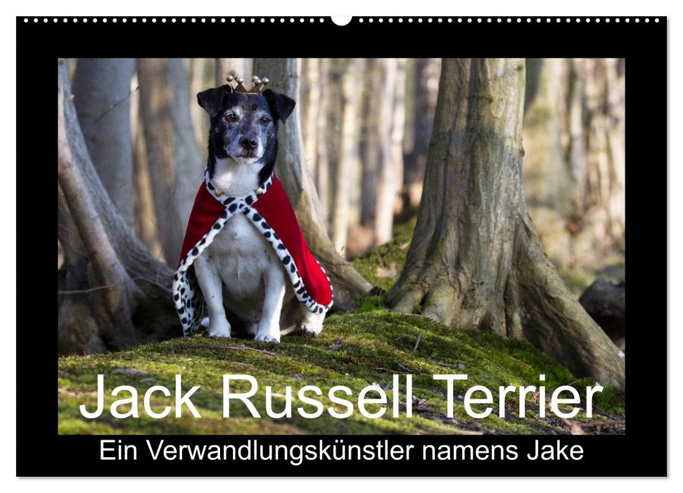 Jack Russell Terrier.....Ein Verwandlungskünstler namens Jake (CALVENDO Wandkalender 2025)