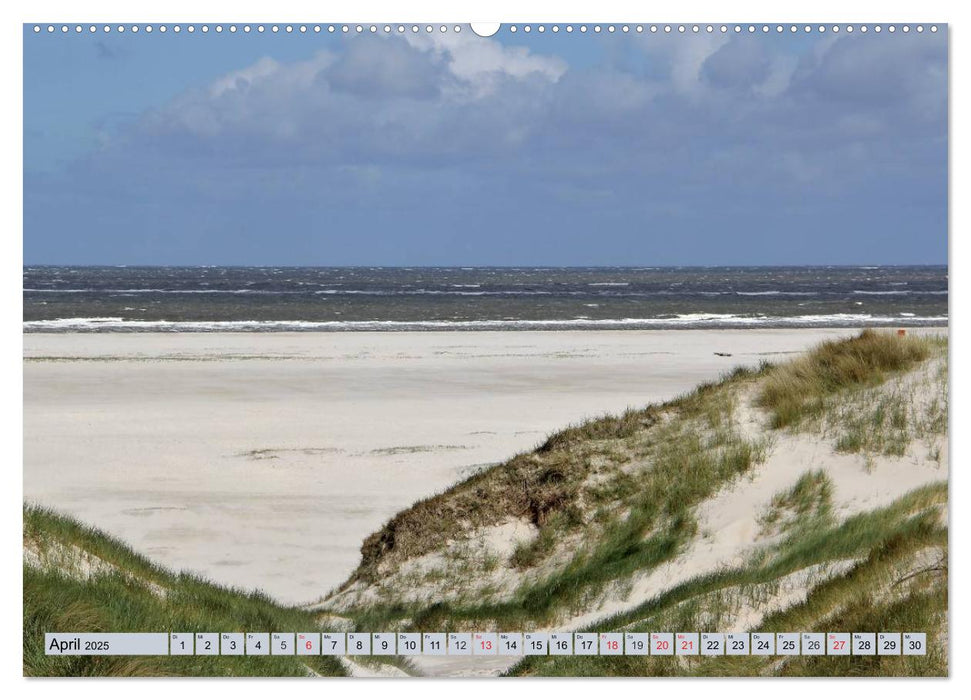 Amrum - stimmungsvolle Nordseebilder (CALVENDO Premium Wandkalender 2025)