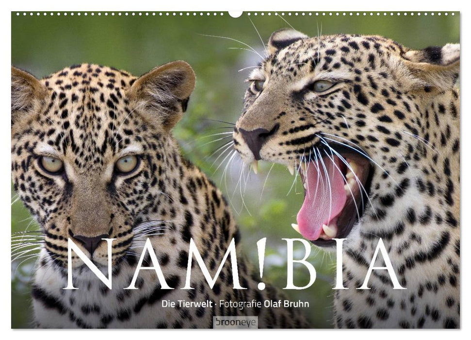 Namibia - Die Tierwelt (CALVENDO Wandkalender 2025)