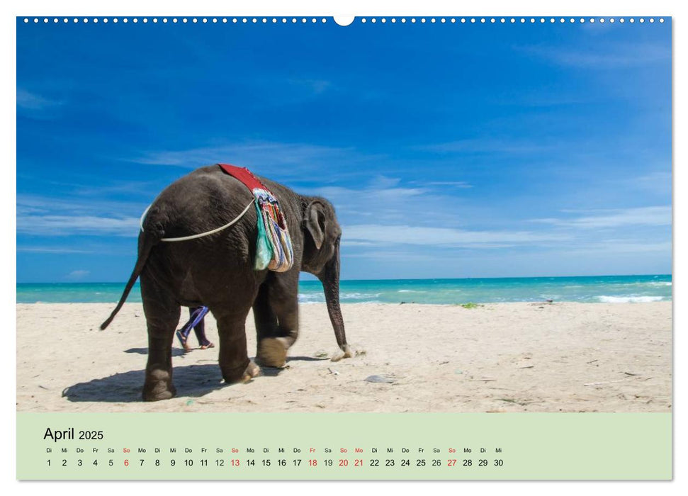 Elefanten. Badespaß am Strand (CALVENDO Premium Wandkalender 2025)