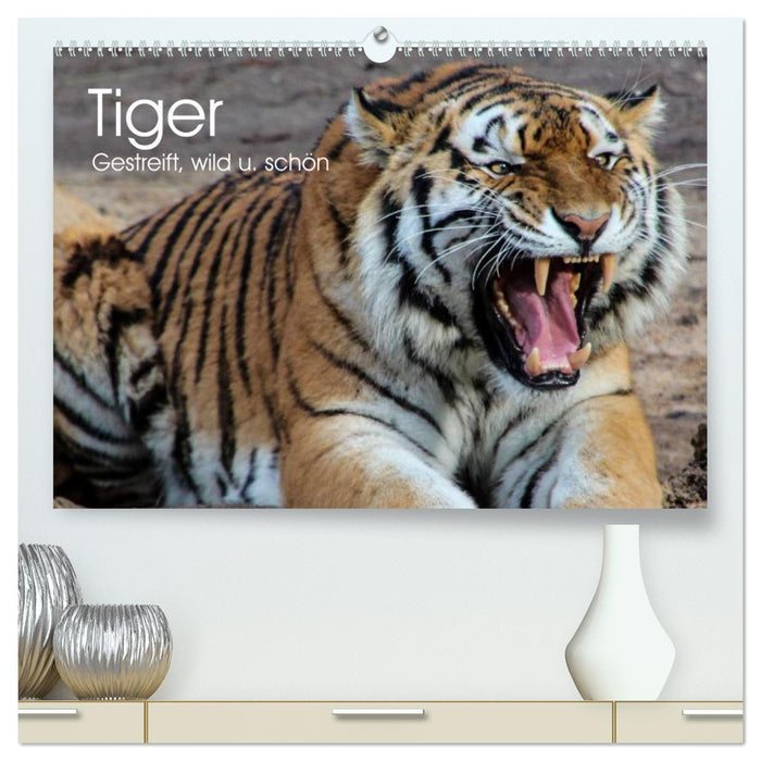 Tiger. Gestreift, wild u. schön (CALVENDO Premium Wandkalender 2025)