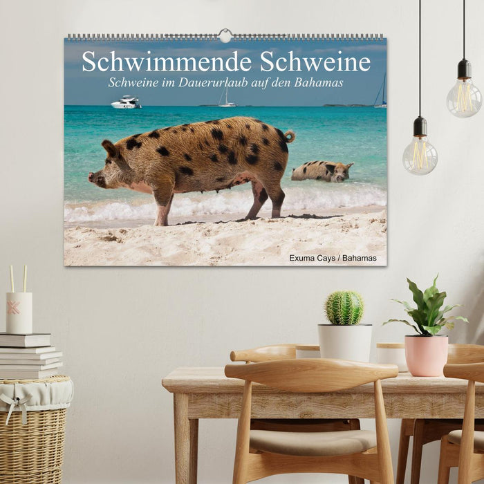 Schwimmende Schweine (CALVENDO Wandkalender 2025)