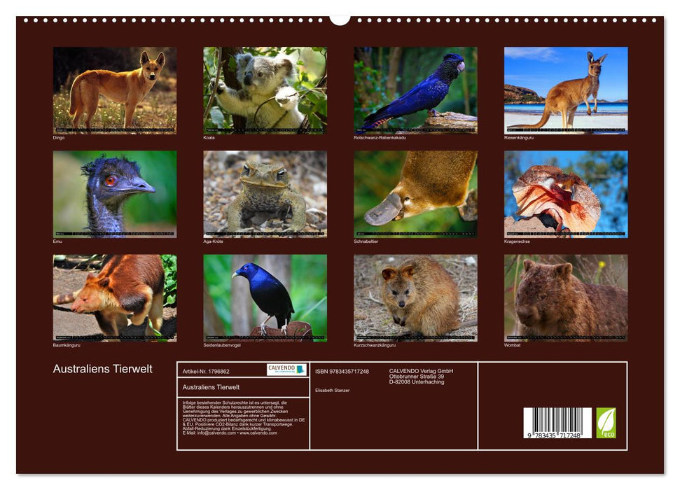 Australiens Tierwelt (CALVENDO Premium Wandkalender 2025)