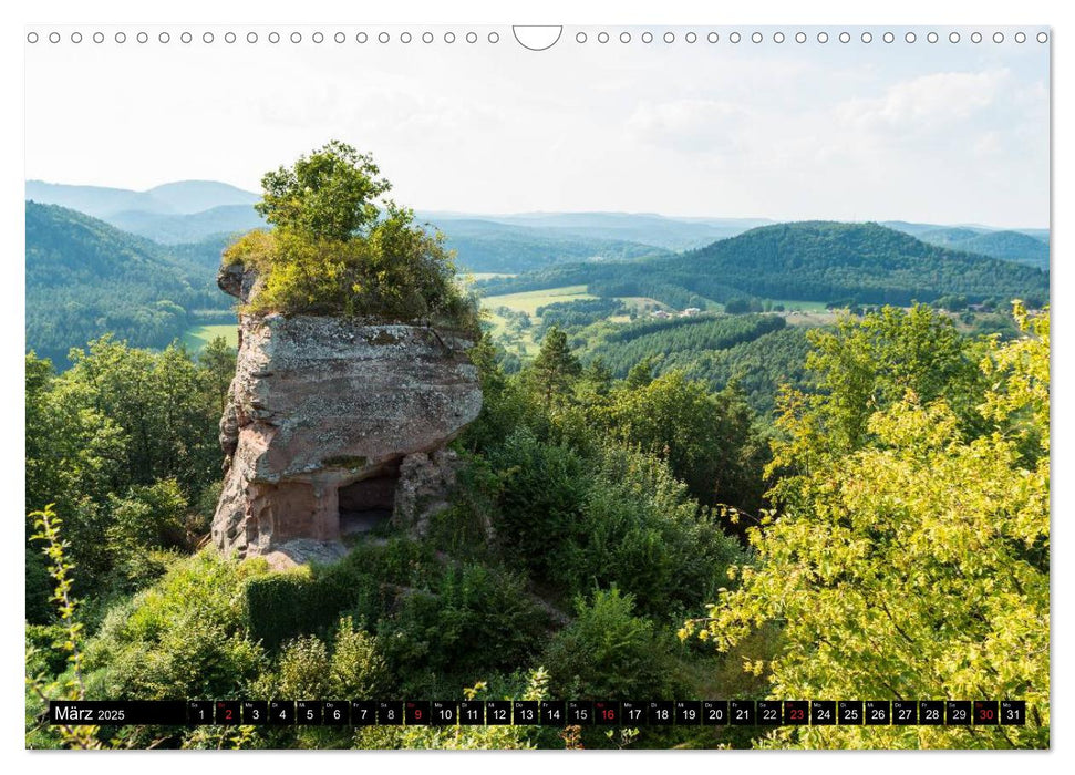 Pfälzer Sehenswürdigkeiten - Teil I (CALVENDO Wandkalender 2025)