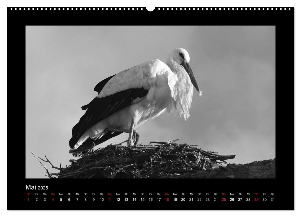 Marokko - Nostalgie in schwarz-weiss (CALVENDO Premium Wandkalender 2025)