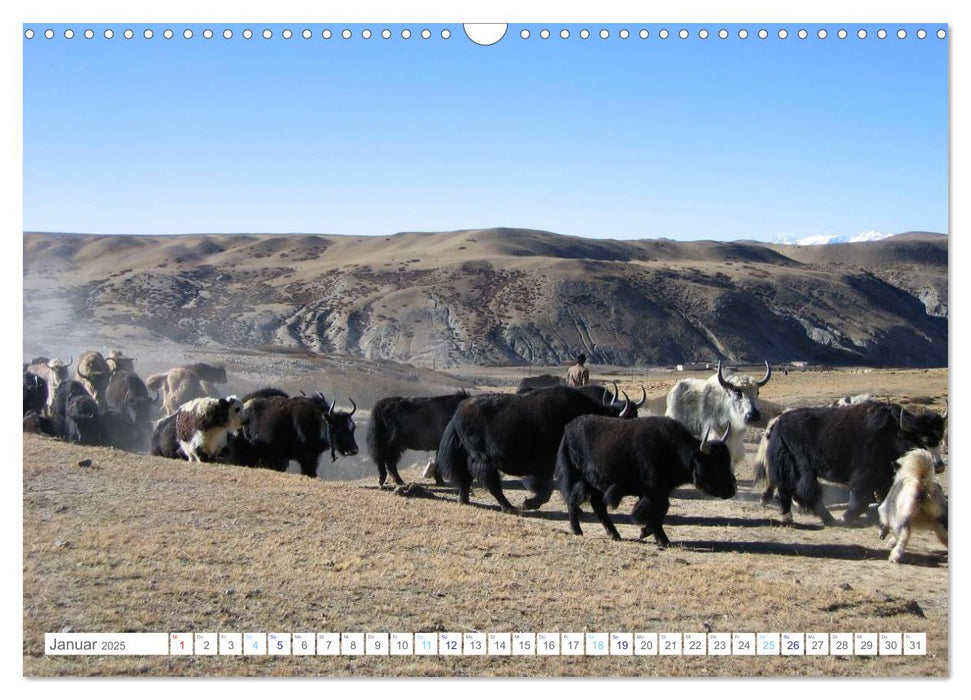 Tibet (CALVENDO Wandkalender 2025)