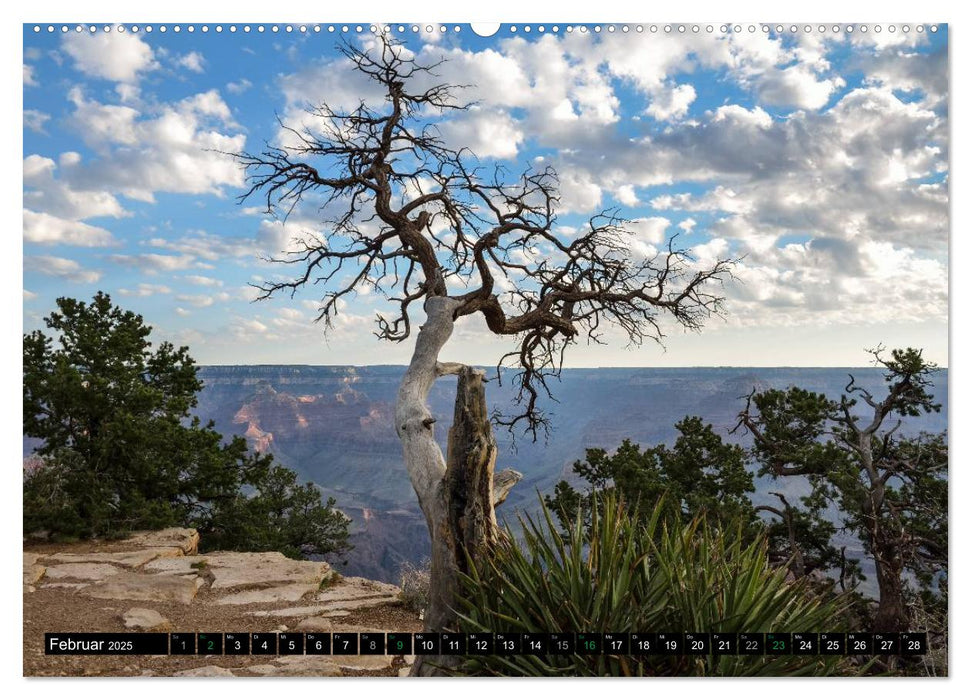 Wild Wild West (CALVENDO Premium Wandkalender 2025)