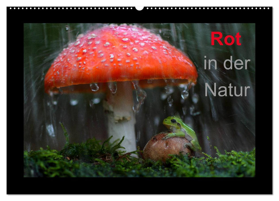 Rot in der Natur (CALVENDO Wandkalender 2025)