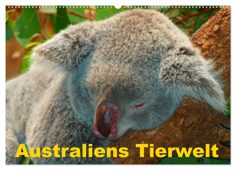 Australiens Tierwelt (CALVENDO Wandkalender 2025)