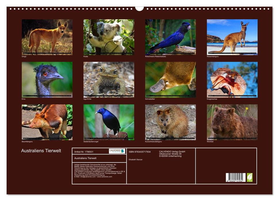 Australiens Tierwelt (CALVENDO Wandkalender 2025)