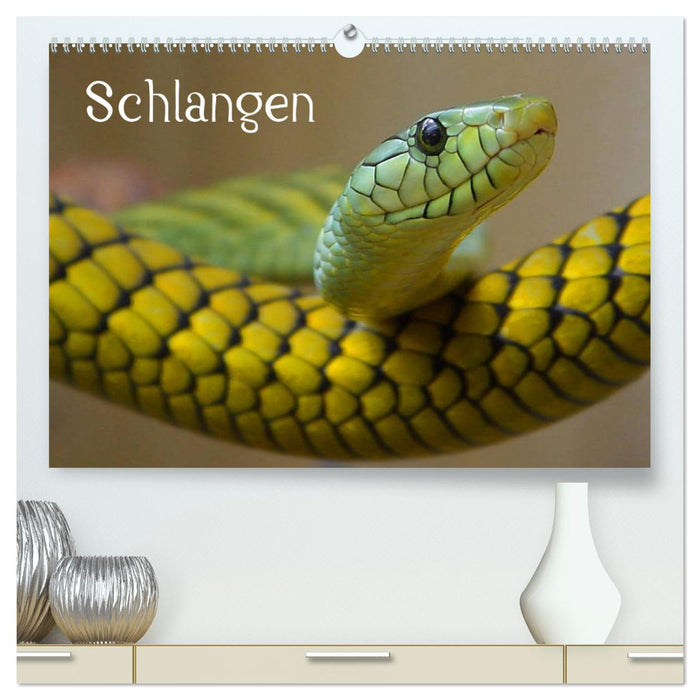 Schlangen (CALVENDO Premium Wandkalender 2025)