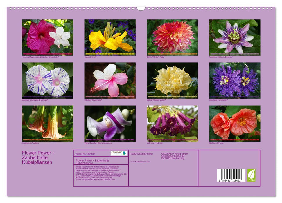 Flower Power - Zauberhafte Kübelpflanzen (CALVENDO Premium Wandkalender 2025)