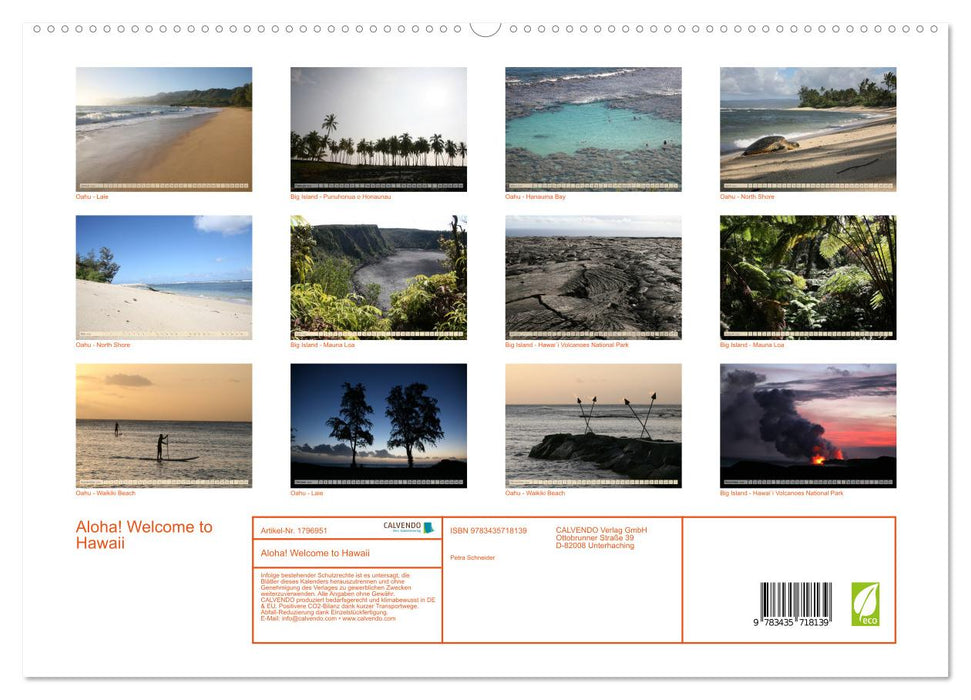 Aloha! Welcome to Hawaii (CALVENDO Premium Wandkalender 2025)